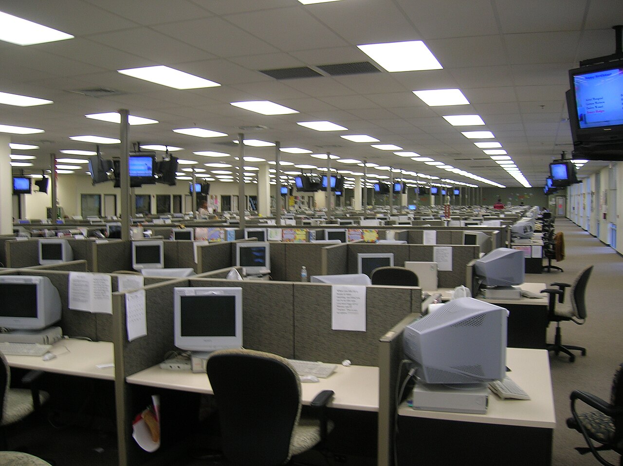 Client Services & Customer Support